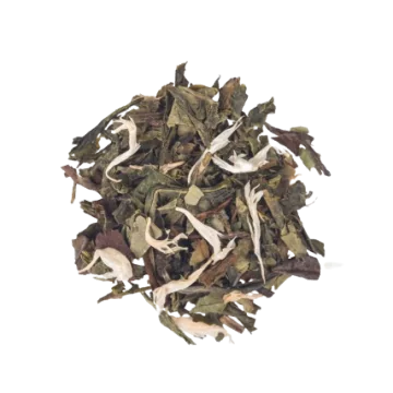 Thé Abricot - Délices Abricot