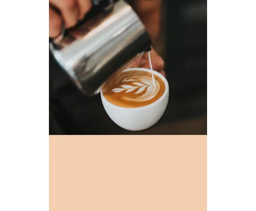 MASTERCLASS BARISTA & LATTE ART MASTERCLASS BARISTA & LATTE ART