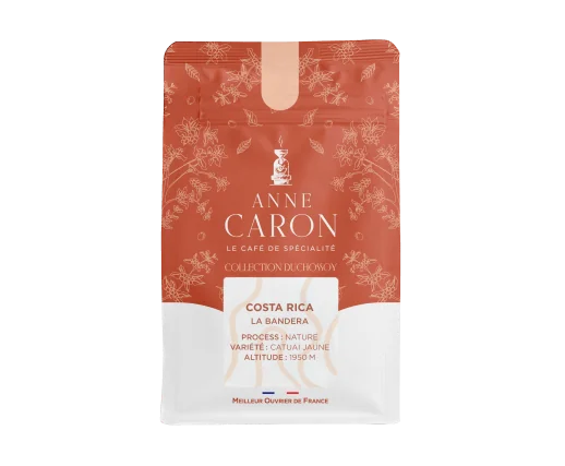 Costa Rica La Bandera Costa Rica La Bandera