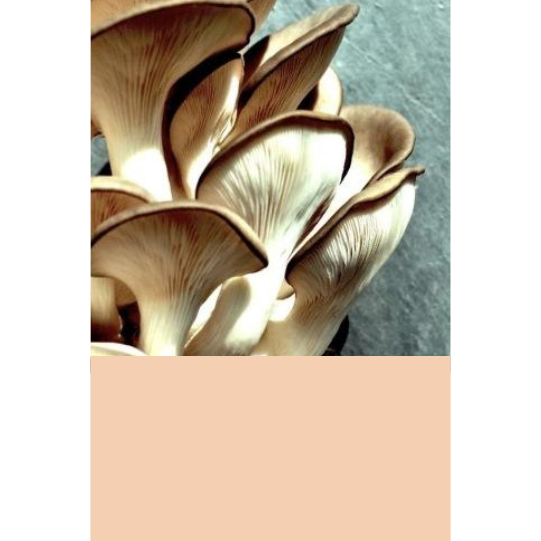 Atelier des Semaines du Développement Durable - Rouen