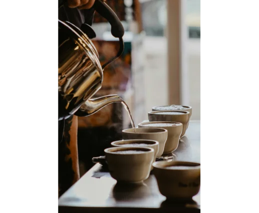 Atelier Rouen - Dégustation autour du globe (Cupping) Atelier Rouen - Dégustation autour du globe (Cupping)