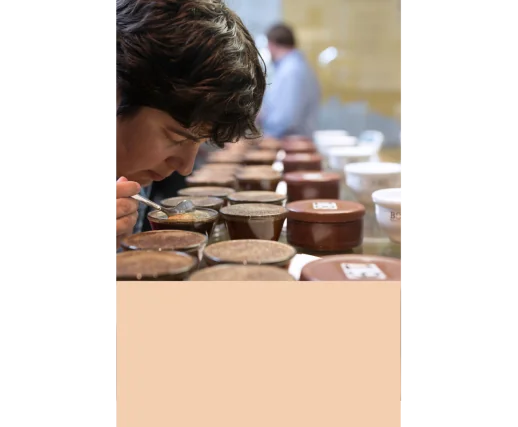 Dégustation autour du globe (Cupping) - Rouen