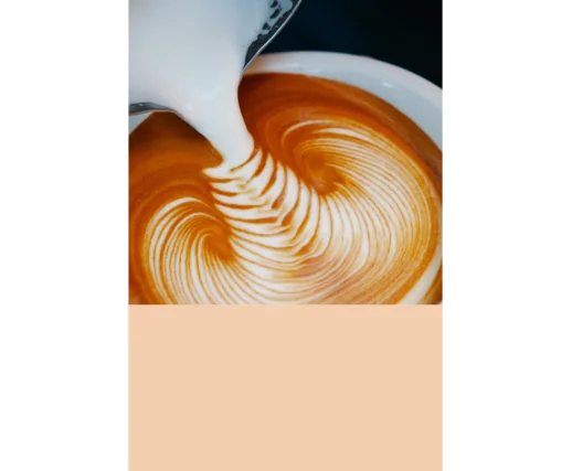 FORMATION BARISTA PRO FORMATION BARISTA PRO