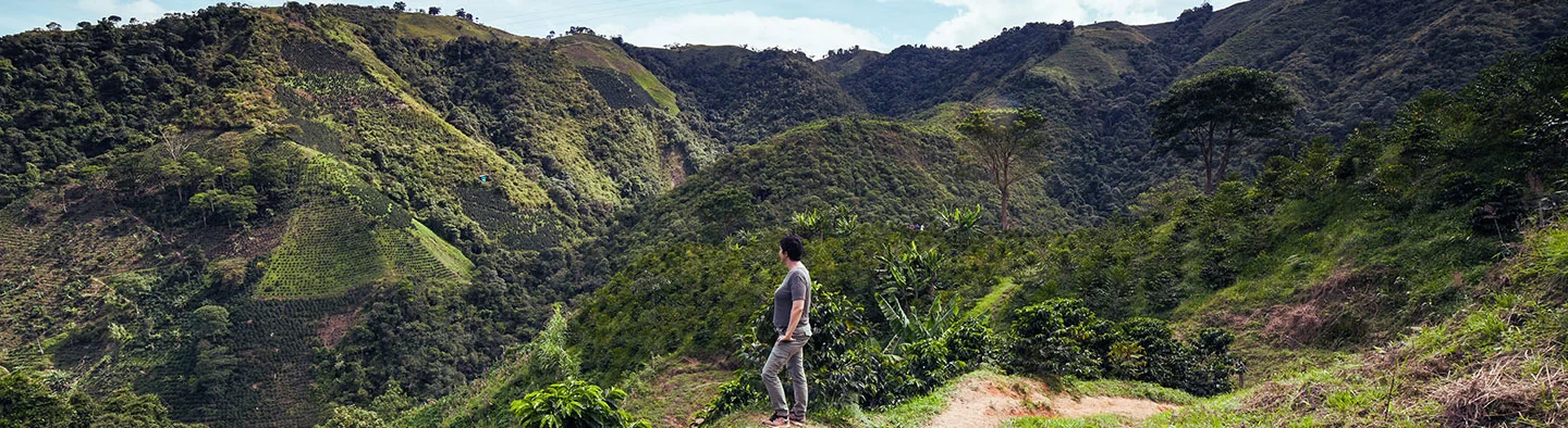 Le blog Café Anne Caron