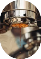 animations barista dégustation