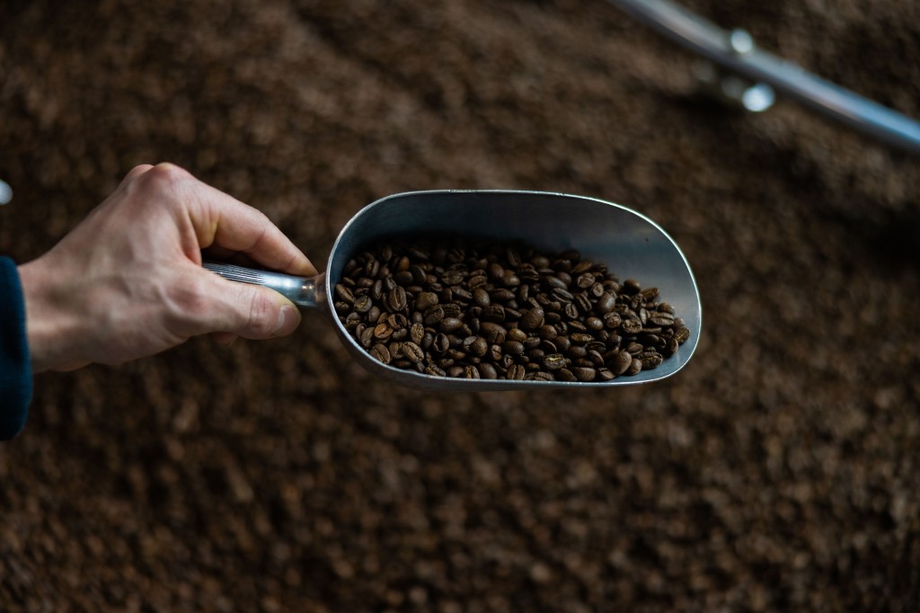 Quelle mouture choisir en fonction de sa cafetière ?