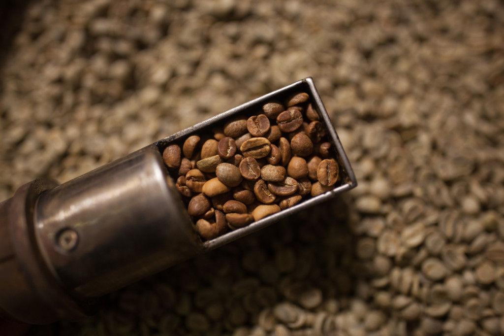 Quel café en grain choisir selon vos goûts et votre machine ? Le guide pratique