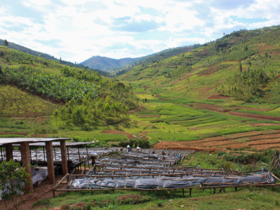 Production de café : climat, résilience et avenir de la filière | Anne Caron