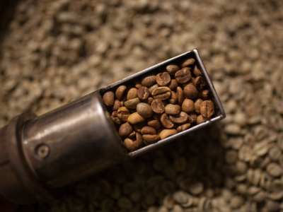 Quel café en grain choisir selon vos goûts et votre machine ? Le guide pratique