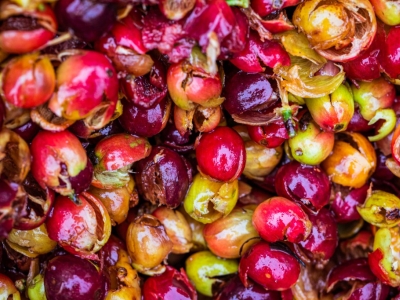 Qu'est-ce que le score du café ?