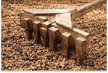 cafés bio de haute qualité