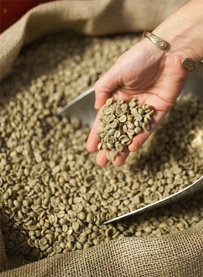 Anne Caron - Un savoir-faire