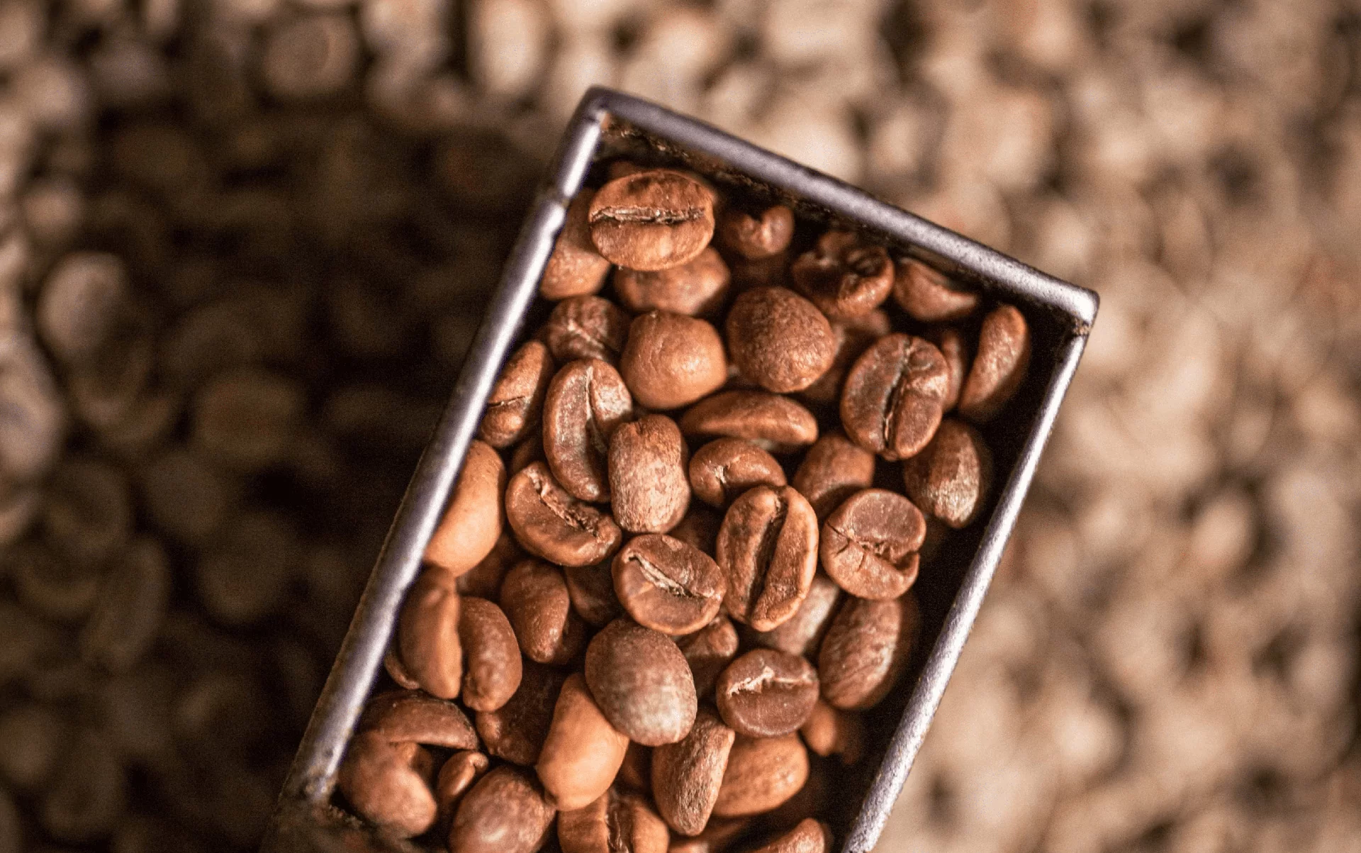 un café 100% café de spécialité