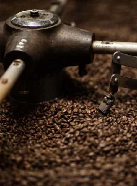 le choix de l’expérience