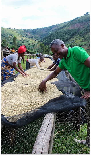 au plus près des producteurs