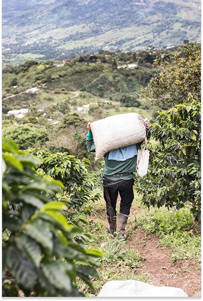 au plus près des producteurs