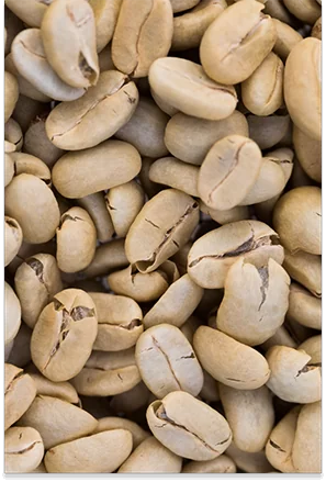 un café de spécialité