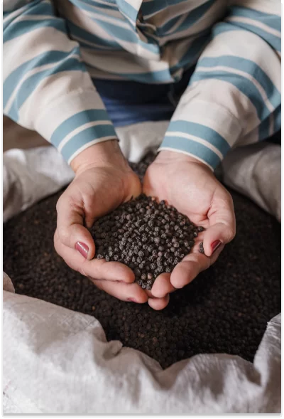 Médaille d’argent EcoVadis