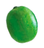 café de spécialité