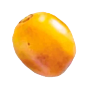 un café de spécialité